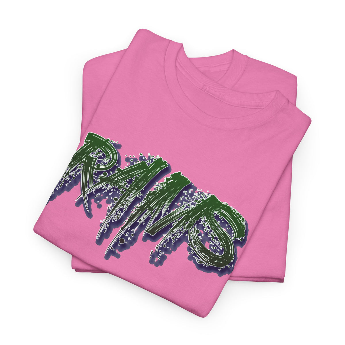 Rio Rancho Rams Spirit T-shirt