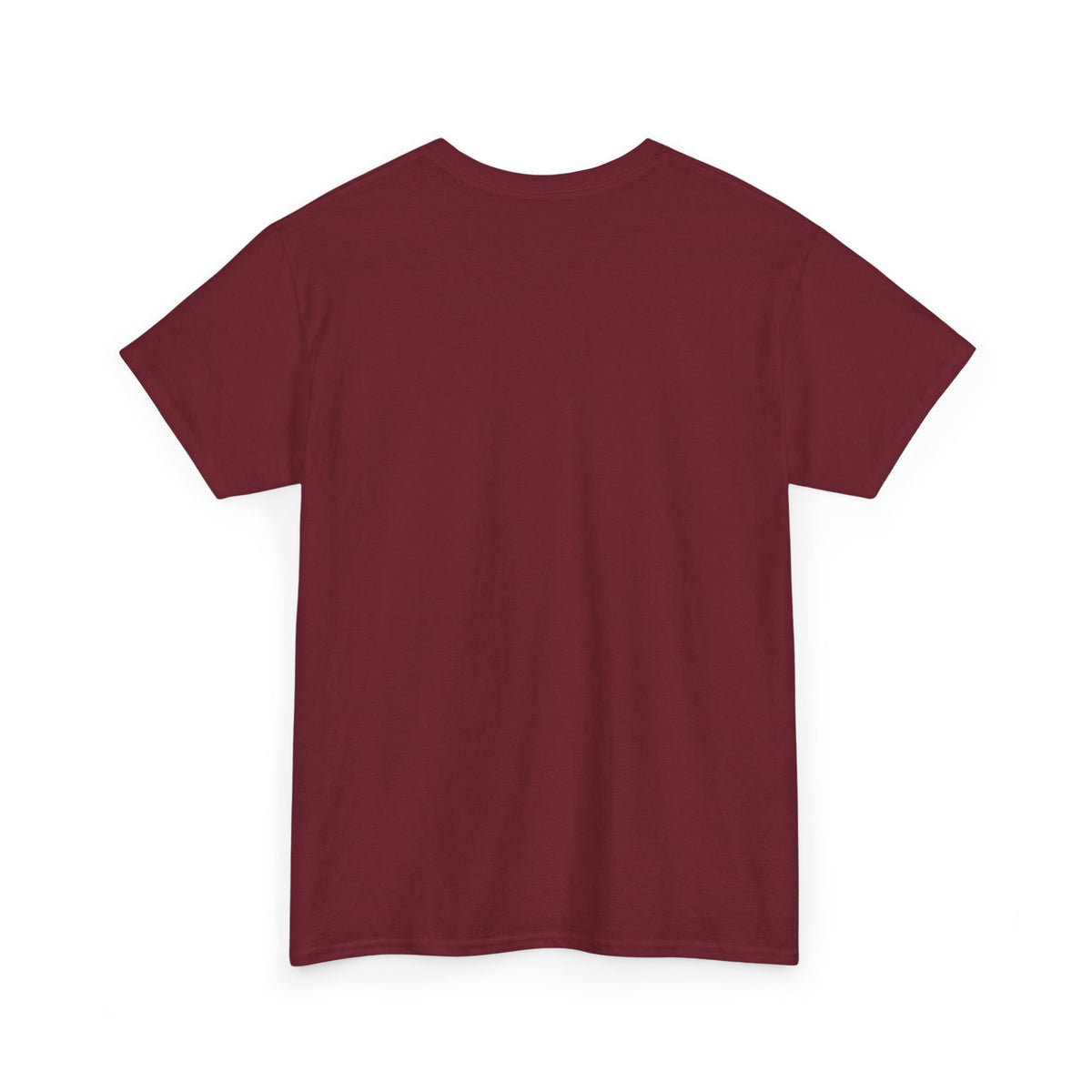 Valley Vikings Classic Logo Spirit T-Shirt