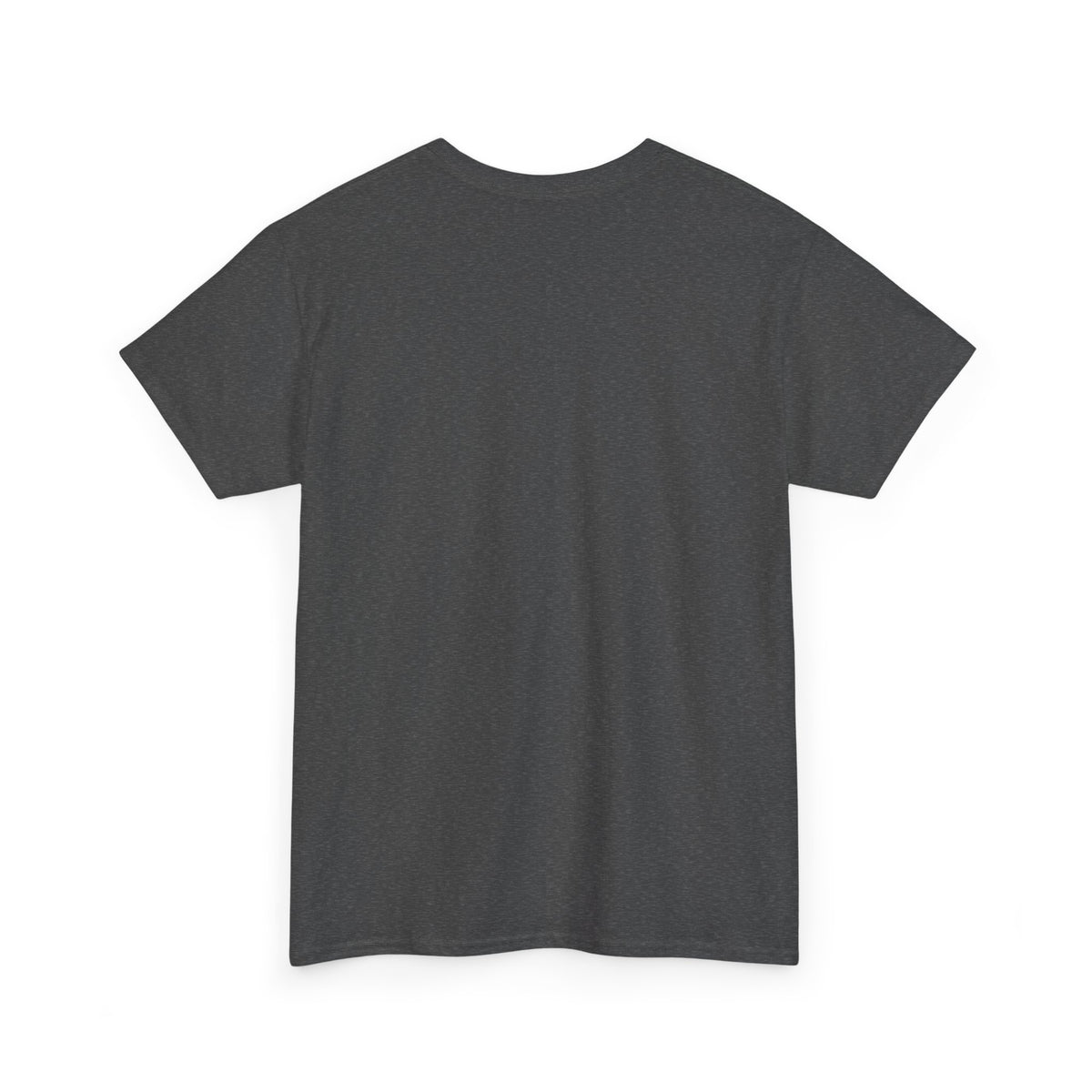 Valley Vikings Classic Logo Spirit T-Shirt