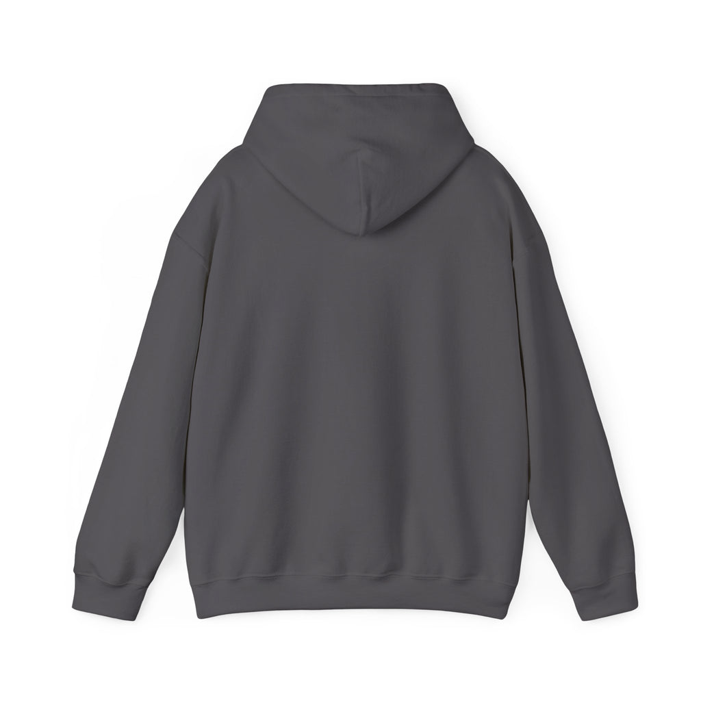 Albuquerque Academy Unisex Heavy Blend™ Hooded Sweatshirt