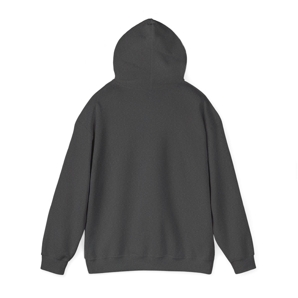 Albuquerque Academy Unisex Heavy Blend™ Hooded Sweatshirt